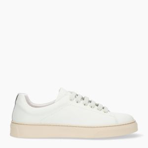 Sneakers Uomo Mousse